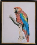 The Parrot Drawing by Sooraj C Nair | Saatchi Art South Korea