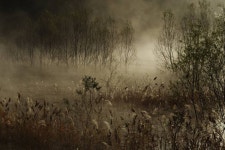 Past Slowly Photography by Kazu K | Saatchi Art Past Slowly Photograph