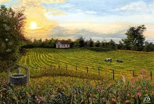 Original Realism Landscape Art From Brazil For Sale | Saatchi Art