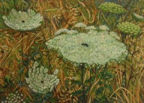 Wild Carrots Painting by Laurence Mergi Rapoport | Saatchi Art