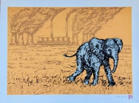Baby elephant at Majuba - Limited Edition of 15 Printmaking by James Delaney | Saatchi Art Baby elephant at Majuba - Limited... 