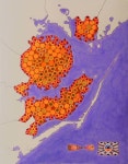 orange nation Painting by Federico Cortese | Saatchi Art orange nation Painting