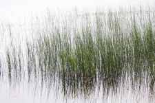 Haggai photography | Saatchi Art
