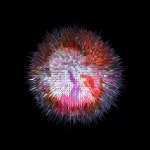 Ferrofluid-0194-01 - Limited Edition 4 of 20 Printmaking by Paslier Morgan | Saatchi Art Ferrofluid-0194-01 - Limited Edition 4... 
