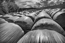 Pasture photography | Saatchi Art