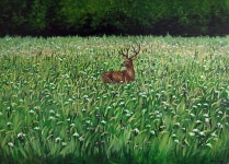 Bieszczady meadow Painting by Agnieszka Turek | Saatchi Art