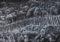 Francia 1 Drawing by Martin Brown | Saatchi Art Francia 1 Drawing