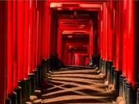 FUSHIMI INARI-TAISHA 8, JAPAN - 57,1“ x 76“ - Limited Edition of 15 Photography by André Wagner | Saatchi Art FUSHIMI INARI... 