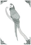 Parrot Drawing by David Ektermanis | Saatchi Art South Korea