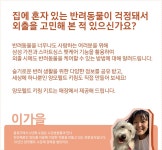 세상에 하나뿐인 양모펠트 키링 제작│Samsung 대한민국