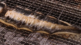 [대한민국농수산] 국내산 민물장어 1kg (손질 후 700g 내외) 