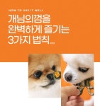 개님의껌 대용량 개별포장 캐터필러 강아지 치석제거 천연 덴탈껌 40개입 