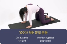 강의 하나로 끝내는 바른자세운동의 정석 