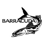 Barracuda Logo PNG Vector (EPS) Free Download