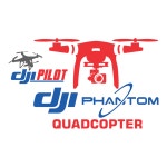 DJI Phantom Pilot Logo PNG Vector (CDR) Free Download