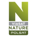 Discuss Logo PNG Vectors Free Download