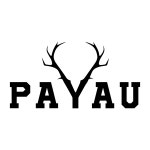 PAYAU Logo PNG Vector (AI) Free Download