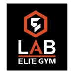 elite lab gym Logo PNG Vector (PDF) Free Download