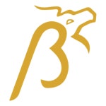 Buraq Logo PNG Vectors Free Download