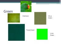 Fashionable or Not?. CHRISTIAN SIRIANO Spring 2010 runway show, Mercedes-Benz Fashion Week  Wo. -  ppt download