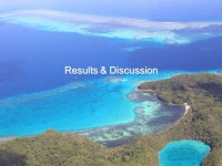Primary process of speciation in marine lakes of Palau Islands: The case of the striped silverside, Atherinomorus endrachtensis... 