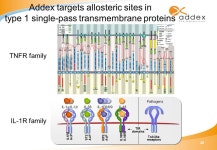 Addex Pharmaceuticals Investor Relations Slides January ppt download