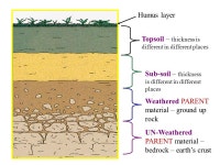 Getting the Dirt on Soil Soil Study Getting the Dirt on Soil For a fun internet site see: -  ppt download