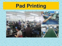 2015/3/311 P acific I ndustries L imited. Pacific group Pacific Industries Limited (HK) Pacific Industries (Zhong Shan) Limited... 