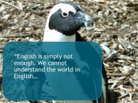 Why study languages? Christine Brown, Assistant Superintendent, Glastonbury Public Schools. -  ppt download