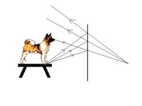 Ray optics. Every point on a luminous or illuminated surface produces light rays in all available directions. -  ppt download