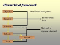 Pi Environmental Consulting π Hierarchical framework for forest certification standards Presentation prepared by Pierre... 