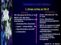 Awatif B. Al-Backer. Stimulants & their Blockers 1-Drugs acting on Nn R Agonist -Dil. Nicotine (0.01%, 0.1ml) -MOA: Dil. Nicotine... 