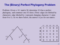 . Phylogenetic Trees (2) Lecture 13 Based on: Durbin et al 7.4, Gusfield , Setubal&Meidanis ppt download