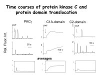 AfCS Microscopy Laboratory Department of Molecular Pharmacology Stanford University Tobias Meyer Lead Scientists: Nancy O’... 