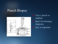 Dermatological Assessment and Procedures Bucky Boaz, ARNP-C. -  ppt download