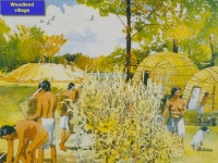 Ancient Fermilab: The Mier Collection of Native American Artifacts. -  ppt download