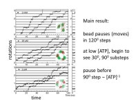 Rotary motors – F 0 F 1 ATPase, helicase Goals – learn... paper directly observing rotation in F1 ATPase some. -  ppt download