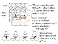 Rotary motors – F 0 F 1 ATPase, helicase Goals – learn... paper directly observing rotation in F1 ATPase some. -  ppt download