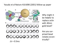 Rotary motors – F 0 F 1 ATPase, helicase Goals – learn... paper directly observing rotation in F1 ATPase some. -  ppt download