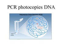 Scrolling clicker attendance See if you can figure out how to “click-in” on the scrolling screen to alert the computer that... 