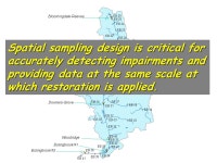 Report on Biological & Water Quality Monitoring in the East Branch DuPage Watershed: 2011 DuPage River-Salt Creek Work Group... 