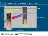 Soil biodiversity and nutrient cycling in rich fens New prospects in Restoration ecology ? Rolf Kemmers Bas van Delft, Miki... 
