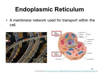 1 LESSON 27: Cell Structures Life Science. 2 Lesson 27 – Cell Structures Click here to view an animation on cell structures... 