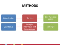 HIV-positive gay and bisexual men in Peru: Sexuality, disclosure and the disconnect between sexual health needs and access.... 