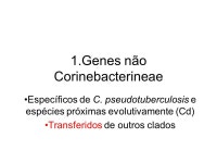 1.Genes não Corinebacterineae Específicos de C. pseudotuberculosis e espécies próximas evolutivamente (Cd) Transferidos de... 