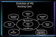 MS Nursing: A Global Success Story Linda Morgante, RN,MSN,MSCN, CRRN Director of Clinical Services Maimonides MS Care Center... 