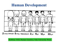 Functional Mapping A statistical model for mapping dynamic genes. -  ppt download