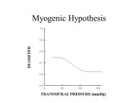 Tissue blood flow and exercise Brain Heart Muscle. -  ppt download