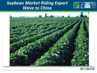Chart source: Knowledge Exchange Division, CoBank, ACB (confidential and proprietary) 13 th Annual Farmer Cooperatives Convention... 