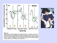 Psych 156A/ Ling 150: Acquisition of Language II Lecture 3 Sounds. -  ppt download